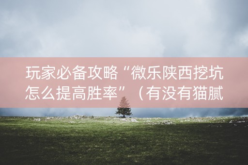 玩家必备攻略“微乐陕西挖坑怎么提高胜率”（有没有猫腻)