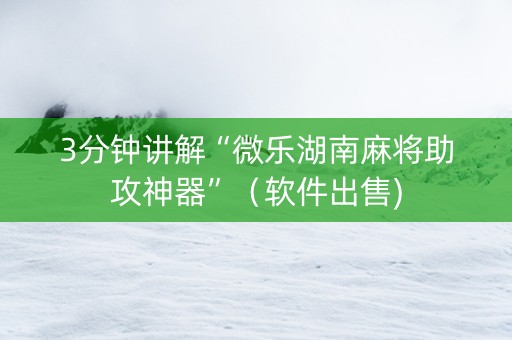 3分钟讲解“微乐湖南麻将助攻神器”（软件出售)