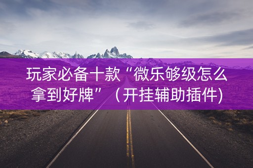 玩家必备十款“微乐够级怎么拿到好牌”（开挂辅助插件)