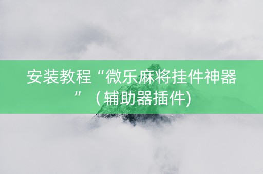 安装教程“微乐麻将挂件神器”（辅助器插件)