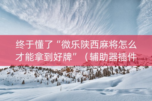 终于懂了“微乐陕西麻将怎么才能拿到好牌”（辅助器插件)