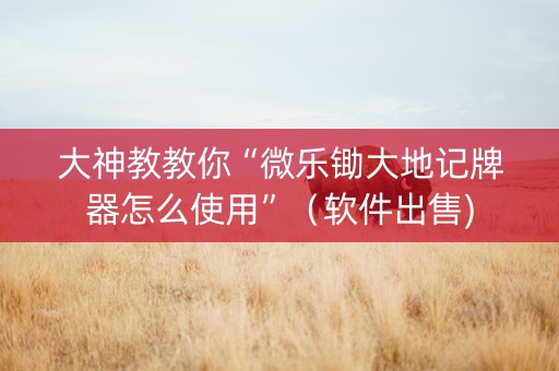 大神教教你“微乐锄大地记牌器怎么使用”（软件出售)