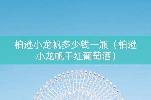 柏逊小龙帆多少钱一瓶（柏逊小龙帆干红葡萄酒）