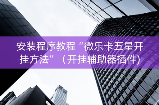 安装程序教程“微乐卡五星开挂方法”（开挂辅助器插件)
