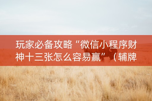 玩家必备攻略“微信小程序财神十三张怎么容易赢”（辅牌器插件购买)