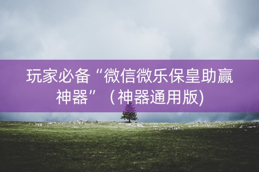 玩家必备“微信微乐保皇助赢神器”（神器通用版)