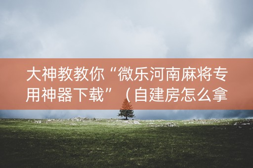 大神教教你“微乐河南麻将专用神器下载”（自建房怎么拿好牌)