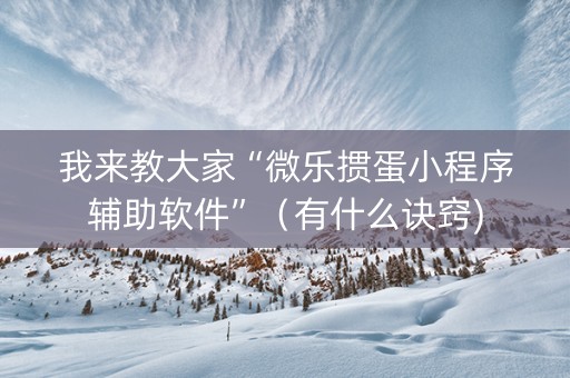我来教大家“微乐掼蛋小程序辅助软件”（有什么诀窍)