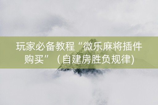 玩家必备教程“微乐麻将插件购买”（自建房胜负规律)