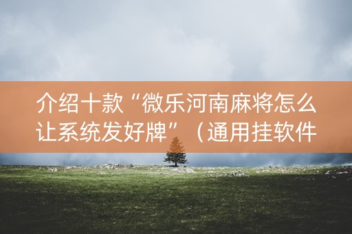 介绍十款“微乐河南麻将怎么让系统发好牌”（通用挂软件多少钱)