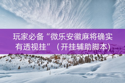 玩家必备“微乐安徽麻将确实有透视挂”（开挂辅助脚本)
