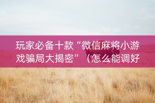 玩家必备十款“微信麻将小游戏骗局大揭密”（怎么能调好牌)