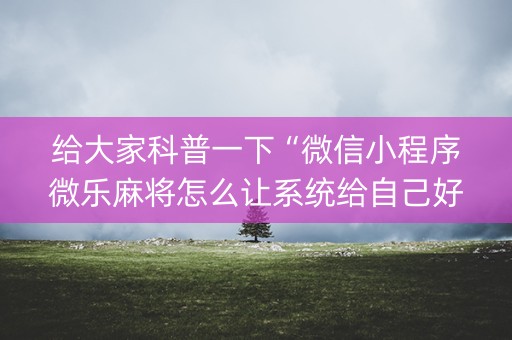 给大家科普一下“微信小程序微乐麻将怎么让系统给自己好牌”（辅助神器免费)