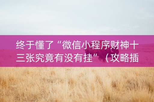 终于懂了“微信小程序财神十三张究竟有没有挂”（攻略插件)