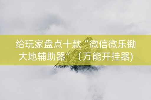 给玩家盘点十款“微信微乐锄大地辅助器”（万能开挂器)