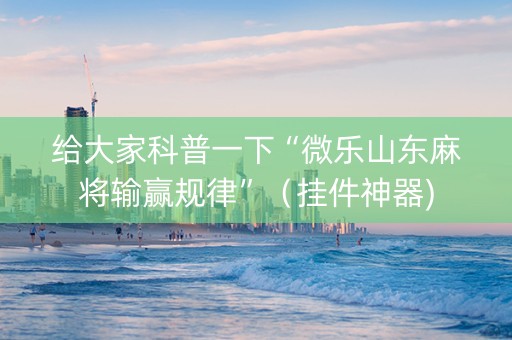 给大家科普一下“微乐山东麻将输赢规律”（挂件神器)