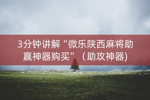 3分钟讲解“微乐陕西麻将助赢神器购买”（助攻神器)