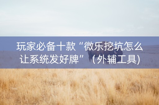 玩家必备十款“微乐挖坑怎么让系统发好牌”（外辅工具)