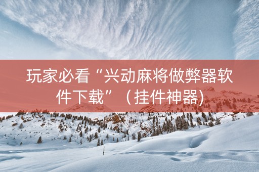 玩家必看“兴动麻将做弊器软件下载”（挂件神器)