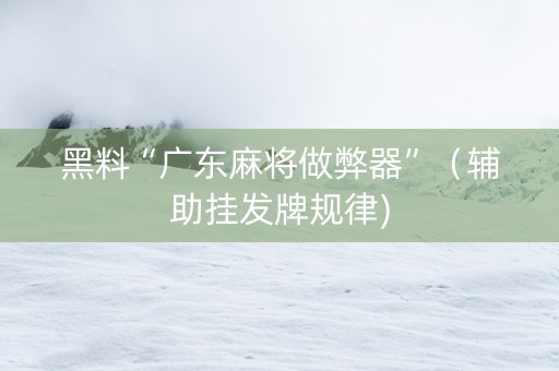 黑料“广东麻将做弊器”（辅助挂发牌规律)