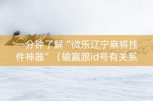 一分钟了解“微乐辽宁麻将挂件神器”（输赢跟id号有关系吗)