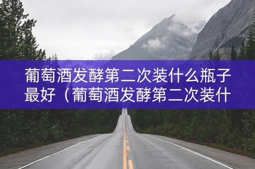 葡萄酒发酵第二次装什么瓶子最好（葡萄酒发酵第二次装什么瓶子最好呢）