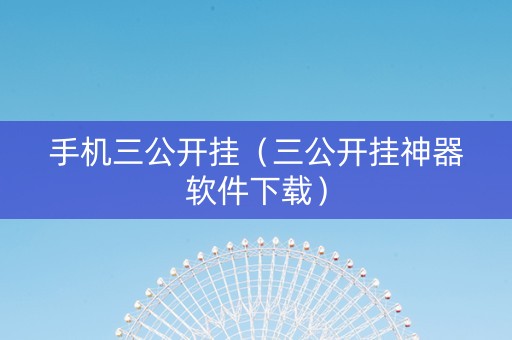 手机三公开挂（三公开挂神器软件下载）