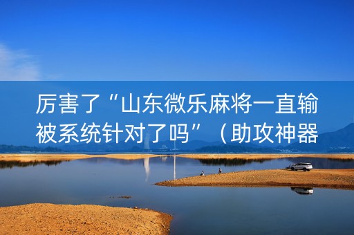 厉害了“山东微乐麻将一直输被系统针对了吗”（助攻神器)