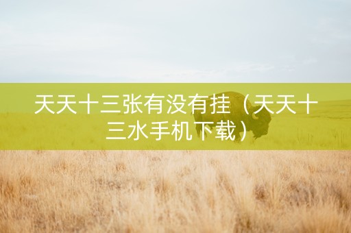 天天十三张有没有挂（天天十三水手机下载）