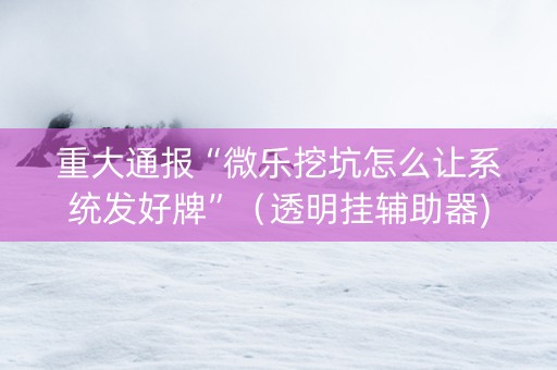 重大通报“微乐挖坑怎么让系统发好牌”（透明挂辅助器)