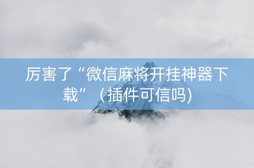 厉害了“微信麻将开挂神器下载”（插件可信吗)