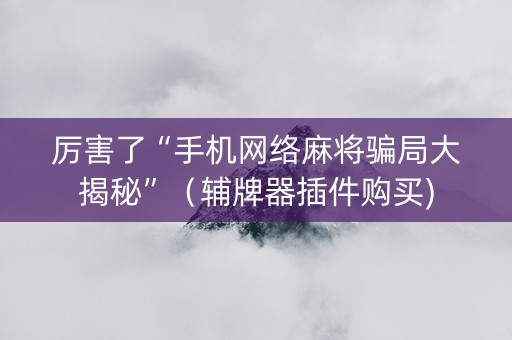 厉害了“手机网络麻将骗局大揭秘”（辅牌器插件购买)