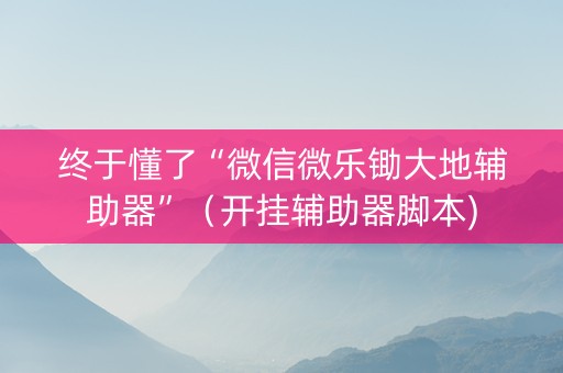 终于懂了“微信微乐锄大地辅助器”（开挂辅助器脚本)