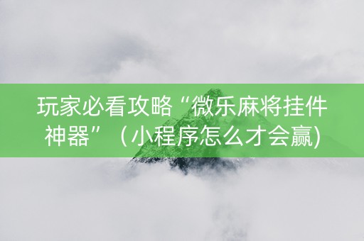 玩家必看攻略“微乐麻将挂件神器”（小程序怎么才会赢)