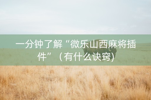 一分钟了解“微乐山西麻将插件”（有什么诀窍)