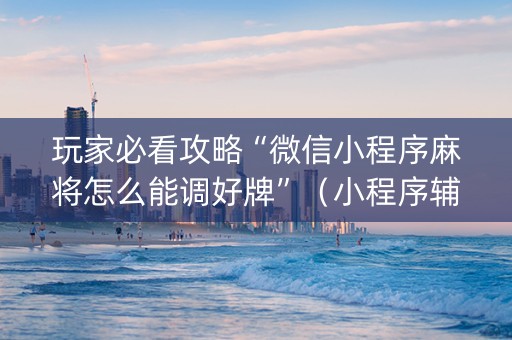 玩家必看攻略“微信小程序麻将怎么能调好牌”（小程序辅助软件)