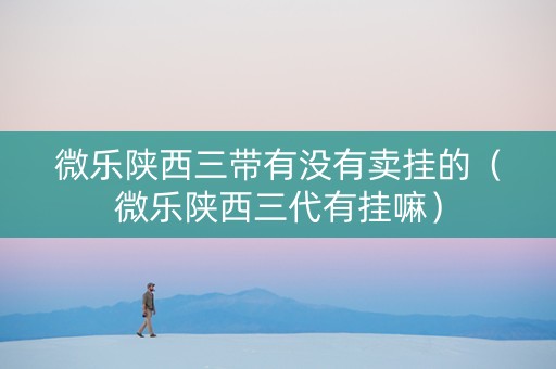 微乐陕西三带有没有卖挂的（微乐陕西三代有挂嘛）