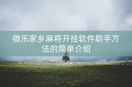 微乐家乡麻将开挂软件助手方法的简单介绍