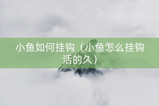 小鱼如何挂钩（小鱼怎么挂钩活的久）