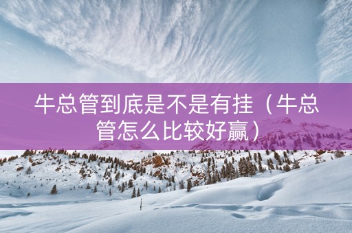牛总管到底是不是有挂（牛总管怎么比较好赢）