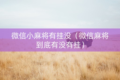 微信小麻将有挂没（微信麻将到底有没有挂）