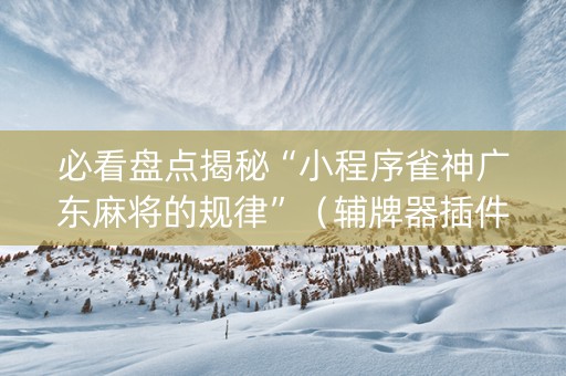 必看盘点揭秘“小程序雀神广东麻将的规律”（辅牌器插件购买)