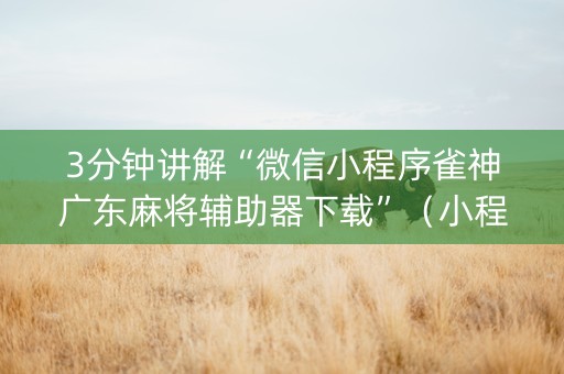 3分钟讲解“微信小程序雀神广东麻将辅助器下载”（小程序必赢神器)