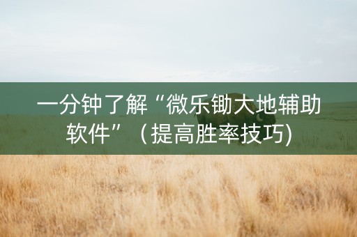 一分钟了解“微乐锄大地辅助软件”（提高胜率技巧)