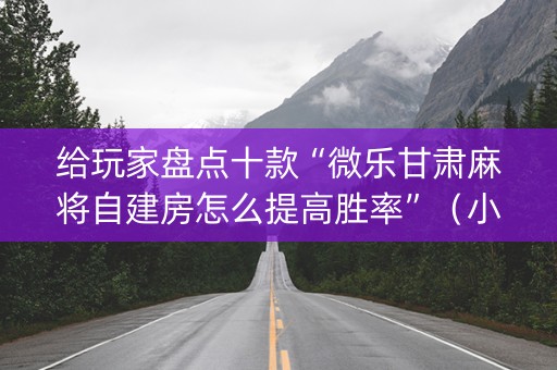 给玩家盘点十款“微乐甘肃麻将自建房怎么提高胜率”（小程序辅助软件)