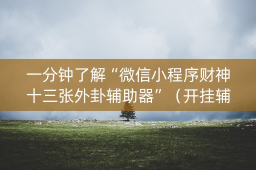 一分钟了解“微信小程序财神十三张外卦辅助器”（开挂辅助脚本)