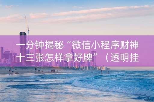 一分钟揭秘“微信小程序财神十三张怎样拿好牌”（透明挂辅助器)