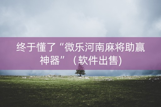 终于懂了“微乐河南麻将助赢神器”（软件出售)