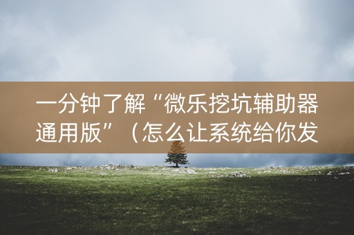 一分钟了解“微乐挖坑辅助器通用版”（怎么让系统给你发好牌)