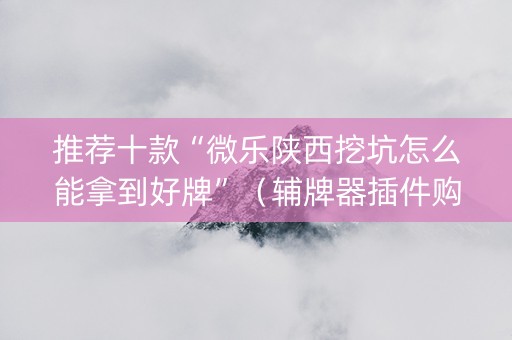 推荐十款“微乐陕西挖坑怎么能拿到好牌”（辅牌器插件购买)